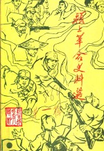 颍上<em>革命</em>史料<em>选</em>  <em>第</em>1<em>辑</em>