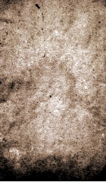 <em>唐诗</em>合解签注  卷11、卷12