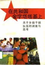 在共和国金字塔塔基上  关于乡镇干部队伍的调查与思考