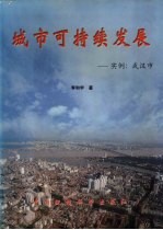 城市可持续发展  实例：武汉市