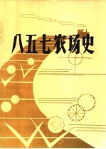 八五七农史续编  之一  1985-1994