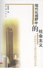 现代化视野中的社会主义  对中国社会主义现代化实践的哲学反思