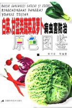 <em>白菜</em>  甘蓝类蔬菜及萝卜病虫害防治原色图鉴