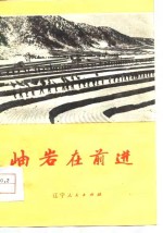 岫岩在前进