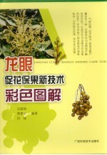 龙眼促花保果新<em>技术</em>彩色图解