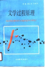文学过程原理