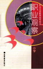 职业观察  小学