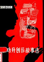 张功升创作故事选