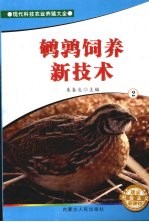 鹌鹑饲养新技术  2