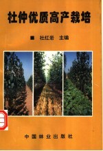 <em>杜</em>仲优质高产栽培