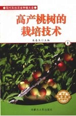 高产桃树的栽培技术  1