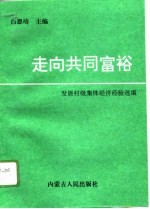走向共同富裕  发展村级集体经济经验选编