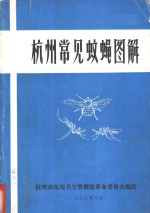 杭州常见蚊蝇图解