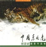 中国东北虎 杨国斌<em>摄</em>影作品集 中英文本 Yangguobin photograph works