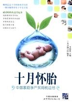 <em>十月</em>怀胎