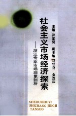 社会主义市场经济探索  浙江专业市场现象剖析