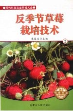 反<em>季节</em>草莓栽培<em>技术</em>  2