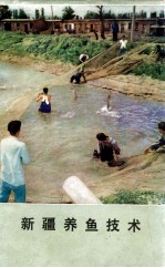 <em>新疆</em>养鱼技术