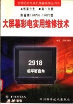 熊猫C64P88、C64P3型大屏幕彩电实用维修<em>技术</em>