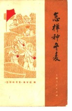 <em>怎样</em>种冬麦