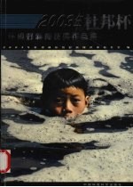 2003<em>年</em>杜邦杯环境好新闻获奖作品集