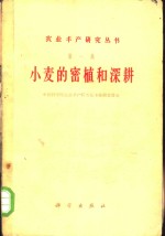 <em>小</em>麦的密植和深耕