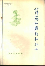 薄荷的栽培和加工