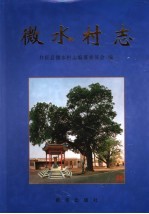 <em>微</em>水村志