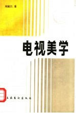 电视美学  电视艺术<em>的美</em>及其审美活动
