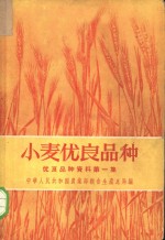 小麦优良品种