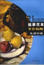 临摹范本  色彩静物色调训练
