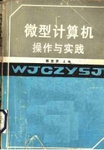 <em><em>微型</em><em>计算机</em></em><em>操作</em>与实践