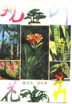 观叶花卉