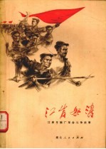 江岸怒涛  江岸<em>车辆</em>厂革命斗争故事