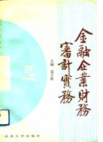 金融企业财务审计实务