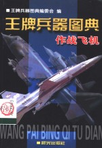 王牌<em>兵器</em>图典  作战飞机