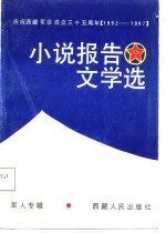 小说报告文学选  军大专辑