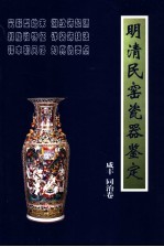 明清民窑瓷器鉴定  咸丰  同治卷