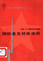 钢铁是怎样炼成的