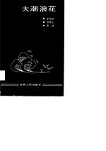 大潮浪花  长春市郊区改革经验汇编