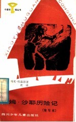 汤姆·沙耶历险记  缩写本