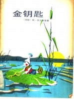 金钥匙  又名，小偶布拉蒂诺历险记