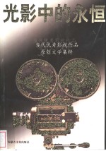光影中的永恒  当代优秀影视作品原创文学精粹
