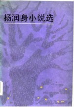 杨<em>润身</em>小说选