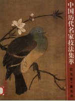 中国历代名家技法<em>集萃</em>  <em>花鸟</em>卷  禽鸟法