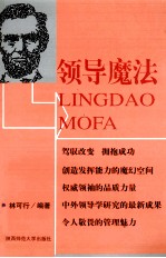 领导魔法  完全领导的魔力与令人敬畏的品质