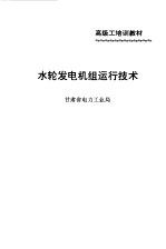 水轮发电机组运行<em>技术</em>