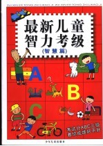 最新儿童智力考级  智慧篇