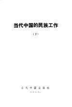 当代中国的民族工作  下