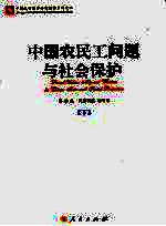 中国农民工问题与社会保护  下